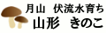 HomePage